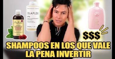 ¿Qué aceites son mejores en un shampoo en barra?