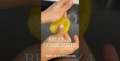 Consejos para aplicar correctamente shampoo en barra recomendado por dermatólogos con ingredientes ecológicos