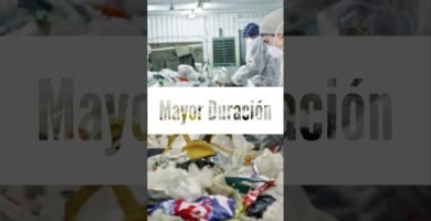 Diferencias entre tipos de shampoo en barra sin sulfatos con ingredientes ecológicos