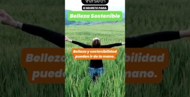 Guía ecológica del shampoo en barra para viajes sostenibles para reducir tu huella ecológica