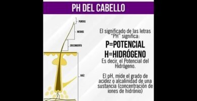 Impacto del pH balanceado en shampoos sólidos para fortalecer el cuero cabelludo