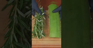 Por qué incluir ingredientes naturales para shampoo sólido en el crecimiento capilar natural