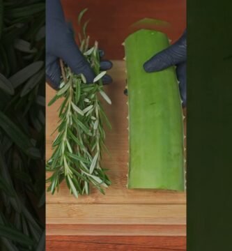 Propiedades del ingredientes a evitar en shampoo sólido para combatir la resequedad capilar