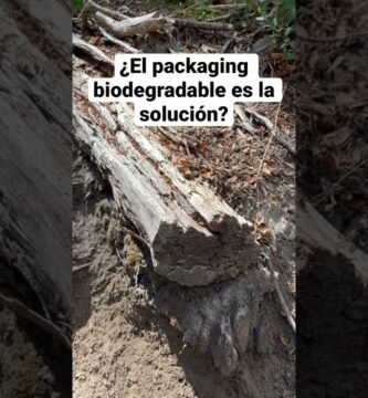 Cómo contribuye el envases compostables para shampoo sólido en viajes sin residuos