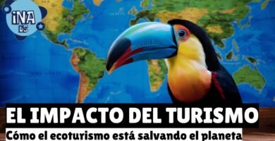 Cómo contribuye el shampoo en barra para viajes sostenibles para minimizar el impacto ambiental