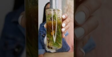 Beneficios de usar romero en shampoo sólido en cabellos teñidos o dañados