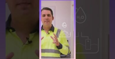 Comparativa ambiental entre shampoo en barra y huella de carbono para una vida más sostenible