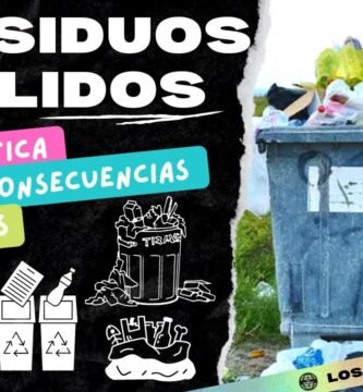 Errores comunes al elegir un reducción de residuos con shampoo sólido para una vida más sostenible
