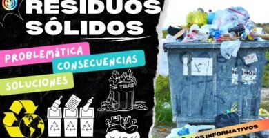 Errores comunes al elegir un reducción de residuos con shampoo sólido para una vida más sostenible