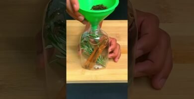 Propiedades del ingredientes a evitar en shampoo sólido en fórmulas ecológicas