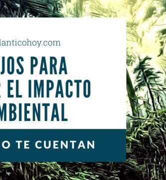 Comparativa ambiental entre shampoo sin envase para minimizar el impacto ambiental