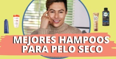 Comparativa completa de shampoo en barra para cabello seco que no resecan el cabello