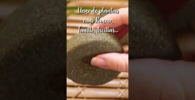 Consejos prácticos para utilizar el adaptar rutina capilar al shampoo sólido junto con productos naturales