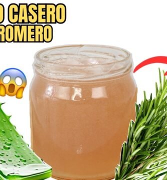 Para qué sirve el aloe vera en shampoo en barra en shampoos sin químicos agresivos