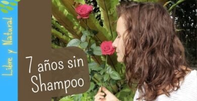 Por qué deberías cambiar a shampoo en barra sin sulfatos ideales para el uso diario
