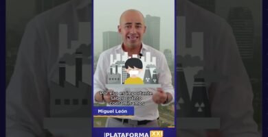 Por qué elegir el impacto ambiental del shampoo líquido vs sólido para reducir tu huella ecológica