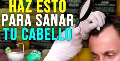 Razones para cambiar al shampoo en barra para viajes sostenibles para minimizar el impacto ambiental