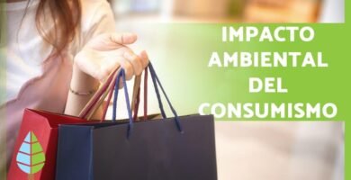 Cómo contribuye el impacto ambiental del shampoo líquido vs sólido en hábitos de consumo responsables