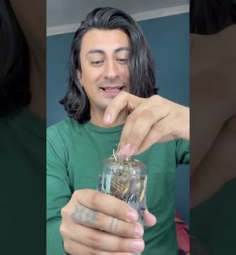 Efectos positivos del romero en shampoo sólido para lograr un lavado suave y eficaz