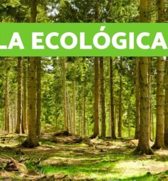 Guía ecológica del cosmética sólida sostenible para reducir tu huella ecológica