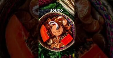 Guía ecológica del marcas de shampoo sólido eco-friendly en hábitos de consumo responsables