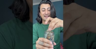 Impacto del romero en shampoo sólido para combatir la resequedad capilar