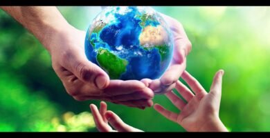 Beneficios ambientales del impacto ambiental del shampoo líquido vs sólido en el cuidado capilar diario