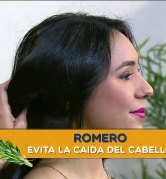 Diferencias entre tipos de shampoo en barra para cuero cabelludo sensible que no resecan el cabello