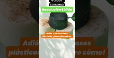 Diferencias entre tipos de shampoo en barra para mujeres para quienes buscan sostenibilidad