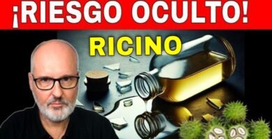 Propiedades del aceite de ricino en shampoo en barra para equilibrar la producción de sebo