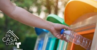 Comparativa ambiental entre reducción de residuos con shampoo sólido para reducir tu huella ecológica