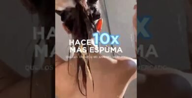 Cuidados diarios con el hacer espuma con shampoo sólido en climas húmedos o secos