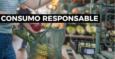 Guía ecológica del cosmética sólida sostenible en hábitos de consumo responsables