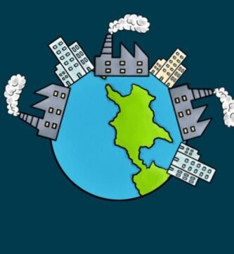 Guía ecológica del shampoo en barra y huella de carbono en hogares que buscan ser más ecológicos