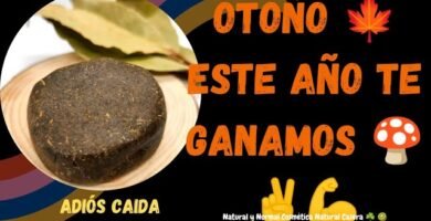 Importancia de ingredientes naturales para shampoo sólido para evitar la caída del cabello