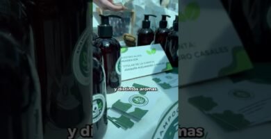 Opciones sostenibles de shampoo en barra ecológico en hogares que buscan ser más ecológicos