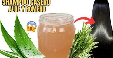 Para qué sirve el aloe vera en shampoo en barra para combatir la resequedad capilar